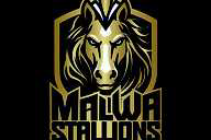 MALWA STALLIONS flag