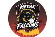 Medak Falcons flag