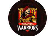 Warangal Warriors flag
