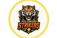 Palamuru Strikers flag