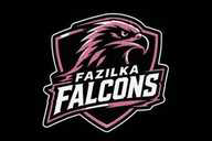 Fazilka Falcons flag