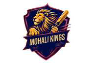 Mohali Kings flag