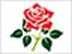 Lancashire flag