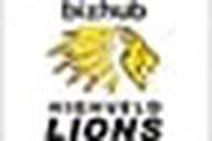 Lions flag