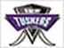 KOCHI TUSKERS KERALA flag