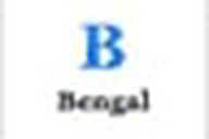 Bengal flag
