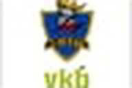 KNIGHTS flag