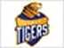 Hubli Tigers flag