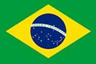 BRAZIL WOMEN flag