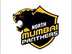 North Mumbai Panthers flag