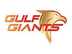 Gulf Giants flag