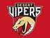 Desert Vipers flag