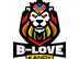 Kandy Falcons flag