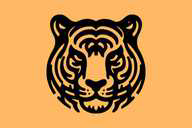 Bangladesh Tigers flag