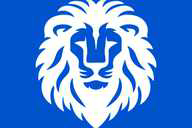 Sri Lankan Lions flag