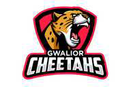 GWALIOR CHEETAHS flag