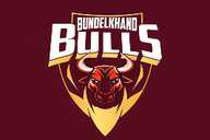 BUNDELKHAND BULLS flag