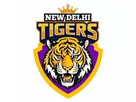 New Delhi Tigers flag