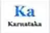 Karnataka flag