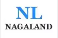 NAGALAND flag
