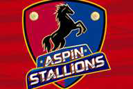 Aspin Stallions flag