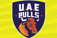 UAE Bulls flag
