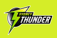 SYTW flag
