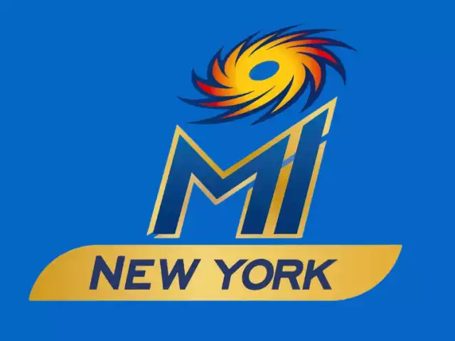 MI New York flag