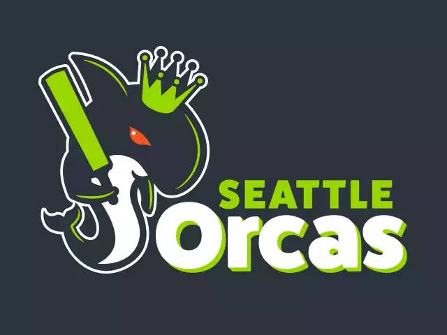 Seattle Orcas flag