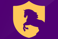UP WARRIORZ WOMEN flag