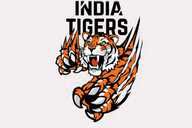 INDIA TIGERS flag