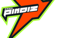 Rawalpindiz flag