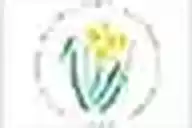 GLAMORGAN WOMEN flag